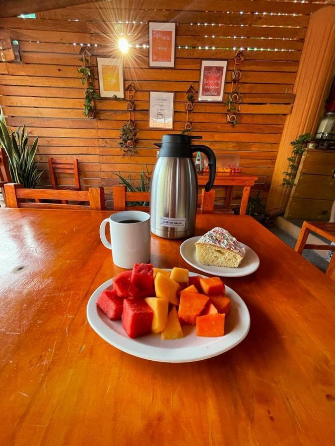 Hotel Casa De La Palma Bed & Breakfast Zihuatanejo Ngoại thất bức ảnh